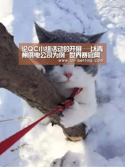 论QC小组活动的开展--以青州供电公司为例-世界赛官网(图1) 世界赛官网