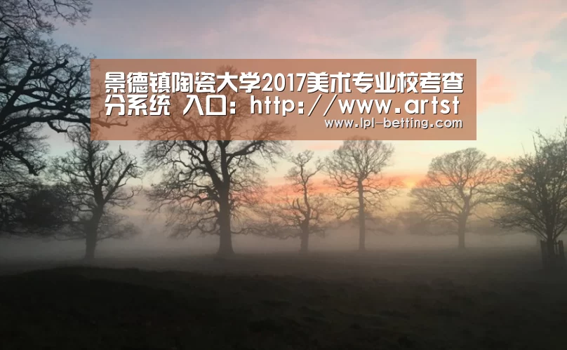 景德镇陶瓷大学2017美术专业校考查分系统 入口:http://www.artstudent.cn/login|世界赛官网(图2) 全球总决赛官网