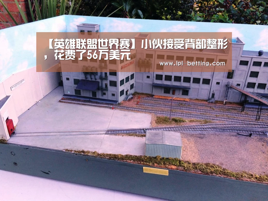 【英雄联盟世界赛】小伙接受背部整形,花费了56万美元(图1) 全球总决赛官网