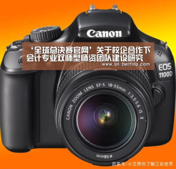 ‘全球总决赛官网’关于校企合作下会计专业双师型师资团队建设研究(图3) 全球总决赛官网